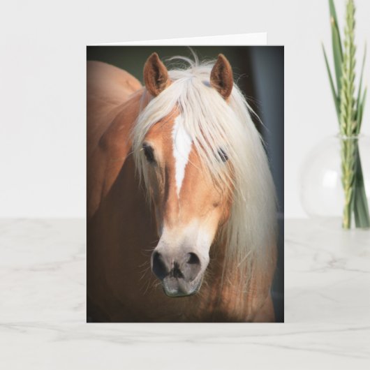 Haflinger Horse Karte (Vorderseite)