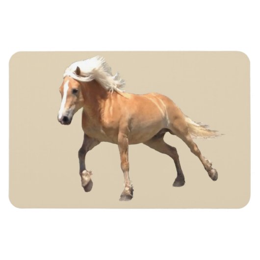 Haflinger Horse Magnet. Magnet (Horizontal)