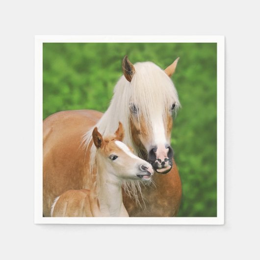 Haflinger Horse Niedlich Baby Foal Kiss Mum Pony F Serviette (Vorderseite)