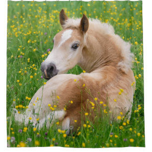 Haflinger Horse Niedlich Foal Resting Blumenbett - Duschvorhang