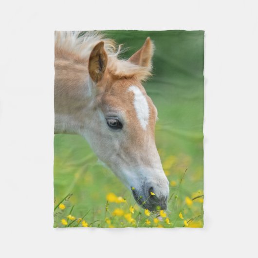 Haflinger Horse Niedlich Foel Blume Portrait - Fleecedecke (Vorderseite)