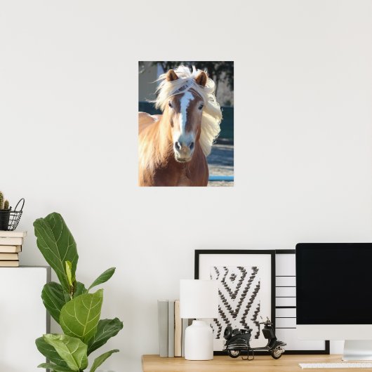 Haflinger Horse Poster (Heimbüro)