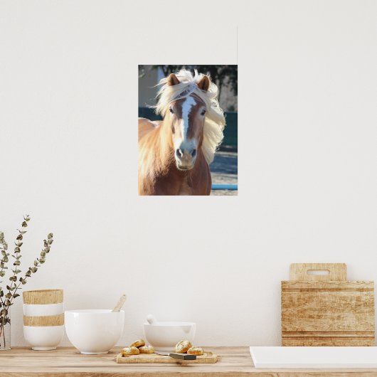 Haflinger Horse Poster (Küche)