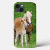 Haflinger Horses Niedlich Foal Kiss Mum - Case-Mate iPhone Hülle (Rückseite)