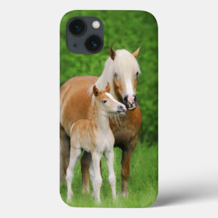 Haflinger Horses Niedlich Foal Kiss Mum - Case-Mate iPhone Hülle