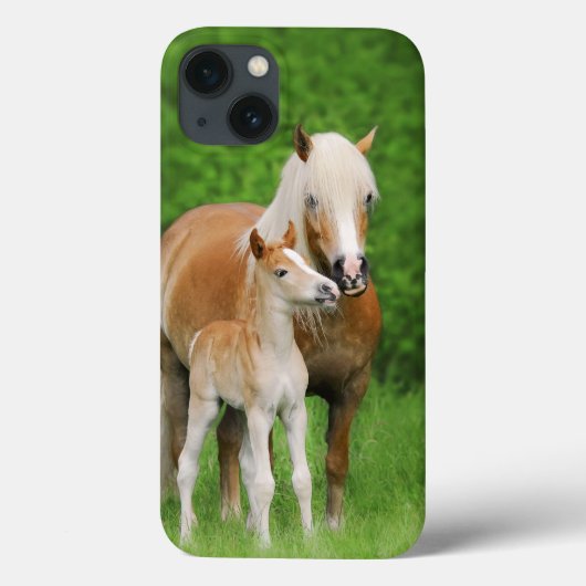 Haflinger Horses Niedlich Foal Kiss Mum - Case-Mate iPhone Hülle (Rückseite)