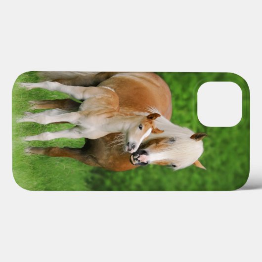 Haflinger Horses Niedlich Foal Kiss Mum - Case-Mate iPhone Hülle (Rückseite (Horizontal))