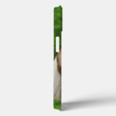 Haflinger Horses Niedlich Foal Kiss Mum - Case-Mate iPhone Hülle (Rückseite / Rechts)