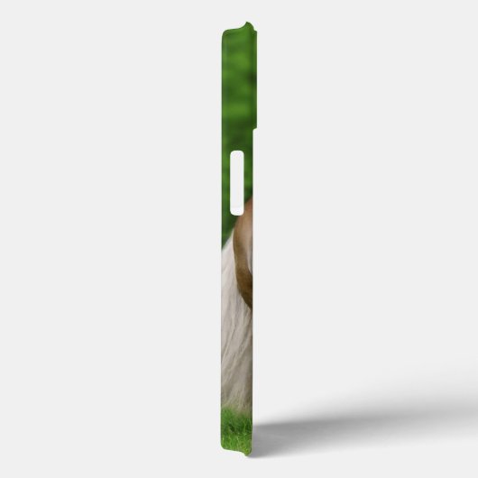 Haflinger Horses Niedlich Foal Kiss Mum - Case-Mate iPhone Hülle (Rückseite / Rechts)