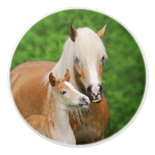 Haflinger Horses Niedlich Foal Kiss Mum - dekorati Keramikknauf