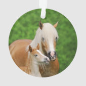Haflinger Horses Niedlich Foal Kiss Mum Foto - Ornament (Rückseite)
