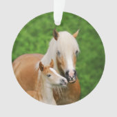 Haflinger Horses Niedlich Foal Kiss Mum Foto - Ornament (Vorderseite)