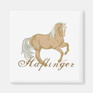Haflinger Magnet