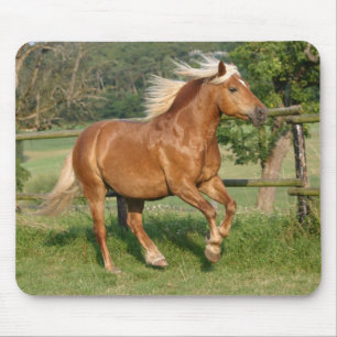 Haflinger mousepad