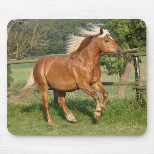 Haflinger mousepad (Vorne)