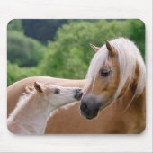 Haflinger Niedlich Pferde Fohlen und Mama Cuddling Mousepad (Vorne)
