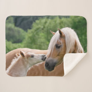 Haflinger Niedlich Pferde Fohlen und Mama Cuddling Sherpadecke