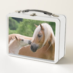 Haflinger niedliche Pferde fohlen und Metall Lunch Box