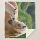 Haflinger niedliche Pferde Fohlen und Sherpadecke (Vorderseite)