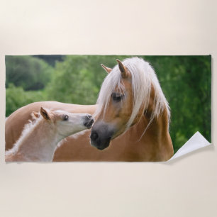 Haflinger niedliche Pferde Fohlen und Strandtuch