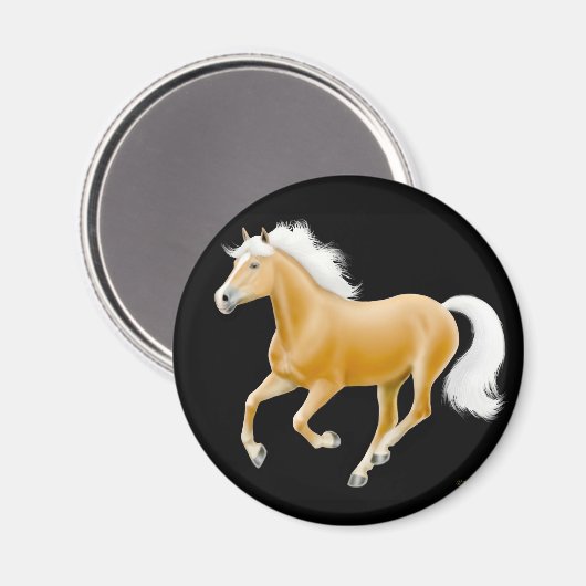 Haflinger Palomino Pferdemagnet Black Magnet (Vorderseite/Rückseite)