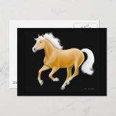 Haflinger Palomino Pferdepostkarte Postkarte (Vorne/Hinten)