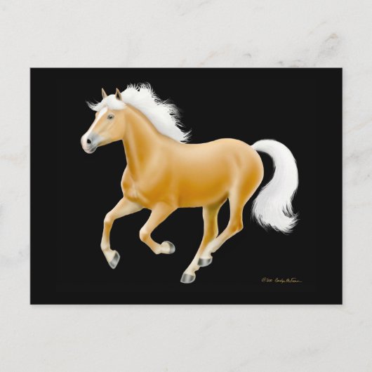 Haflinger Palomino Pferdepostkarte Postkarte (Vorderseite)