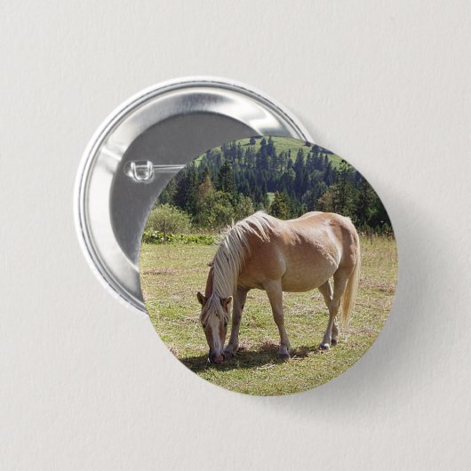 Haflinger Palomino Pony im Foto der Sommerweiden Button (Vorne & Hinten)