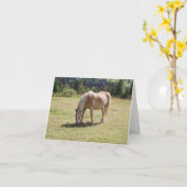 Haflinger Palomino Pony im Foto der Sommerweiden Karte (Gelbe Blume)