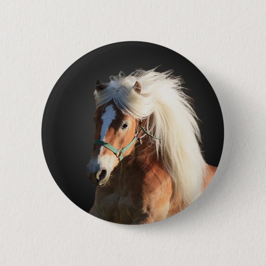 Haflinger Pferd Button (Vorderseite)