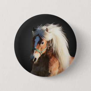 Haflinger Pferd Button