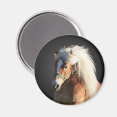 Haflinger Pferd Magnet (Vorderseite/Rückseite)