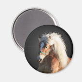 Haflinger Pferd Magnet (Vorderseite/Rückseite)