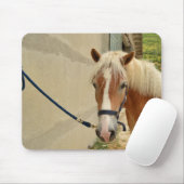 Haflinger-Pferd Mousepad (Mit Mouse)