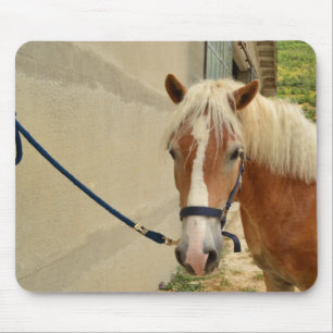 Haflinger-Pferd Mousepad