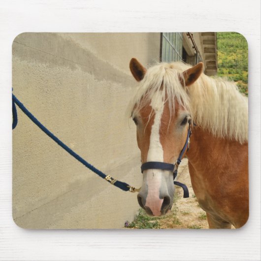 Haflinger-Pferd Mousepad (Vorne)