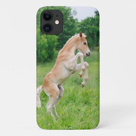 Haflinger Pferd, Niedliche Fossilien, gefrierfress Case-Mate iPhone Hülle (Rückseite)