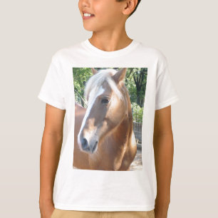 Haflinger Pferd T-Shirt