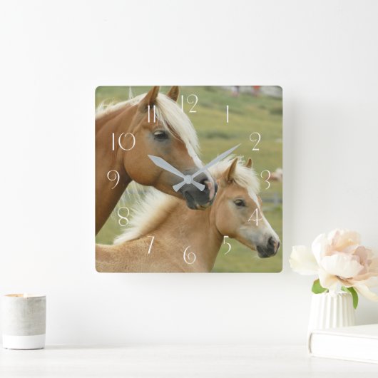 Haflinger-Pferd und -Fohlen Quadratische Wanduhr (Zuhause)
