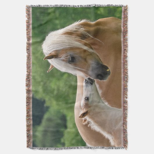 Haflinger Pferde Foal Mare Cuddling, weich Decke (Vorderseite Vertikal)