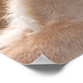 Haflinger Pferde Foal und Mare cuddling, Foto Poster (Ecke)