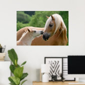 Haflinger Pferde Foal und Mare cuddling, Foto Poster (Heimbüro)