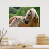 Haflinger Pferde Foal und Mare cuddling, Foto Poster (Küche)