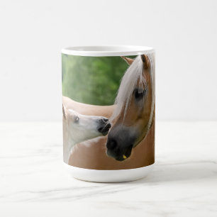 Haflinger Pferde fohlen und die streichelnde Kaffeetasse
