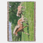 Haflinger Pferde mit Niedlichen Foals Run Funny Fo Decke (Vorderseite Vertikal)