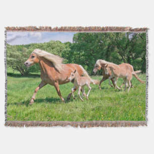 Haflinger Pferde mit Niedlichen Foals Run Funny Fo Decke