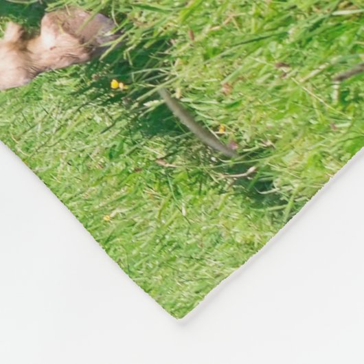 Haflinger Pferde mit Niedlichen Foals Run Funny Fo Fleecedecke (Ecke)