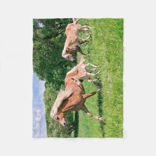 Haflinger Pferde mit Niedlichen Foals Run Funny Fo Fleecedecke (Vorderseite)