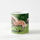 Haflinger Pferde mit Niedlichen Foals Run Funny Fo Kaffeetasse<br><div class="desc">Haflinger Stute mit frischen Fohlen, die über eine Weide in einer wunderschönen Landschaft laufen. Ein blondes Flaxenkastanienpferd, auch Haffiden oder Veligne genannt, Foto von Katho Menden genommen. Diese klassische Kaffee-Foto-Tasse ist eine Geschenkidee für Pferdefreunde http://www.zazzle.com/kathom_photo - Sie können Ihren eigenen Text hinzufügen, indem Sie den Knopf Anpassen drücken. Wenn Sie...</div>