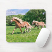 Haflinger Pferde mit Niedlichen Foals Run Funny Fo Mousepad (Mit Mouse)
